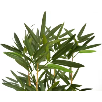 EUROPALMS umelý bambus v dekoračnej miske, 150cm 82509262