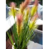 EUROPALMS federgras, umelý, ružový, 90cm 82505865