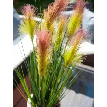 EUROPALMS federgras, umelý, ružový, 90cm 82505865