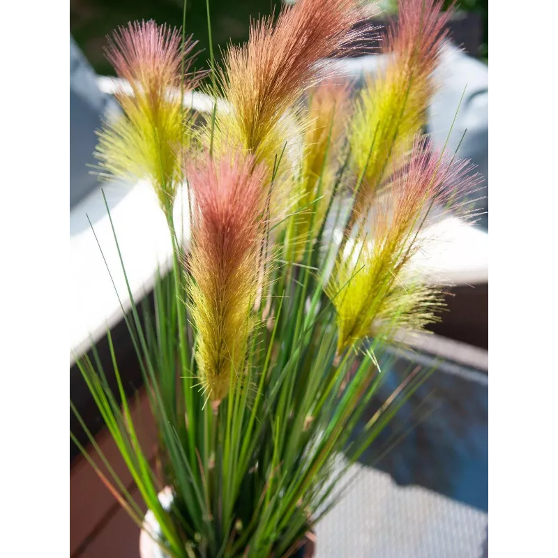 EUROPALMS federgras, umelý, ružový, 90cm 82505865