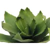 EUROPALMS agáve umelá rastlina, EVA, zelená, 35 cm 82530576