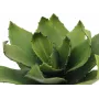 EUROPALMS agáve umelá rastlina, EVA, zelená, 35 cm 82530576