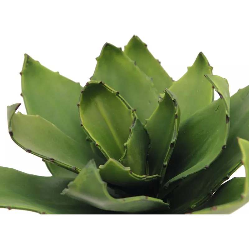 EUROPALMS agáve umelá rastlina, EVA, zelená, 35 cm 82530576