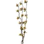 EUROPALMS vetvy torfmyrty s LED, 180 cm 83330312