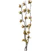 EUROPALMS vetvy torfmyrty s LED, 180 cm 83330312