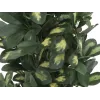 EUROPALMS Schefflera umelá rastlina, 120 cm, zelená 82600157