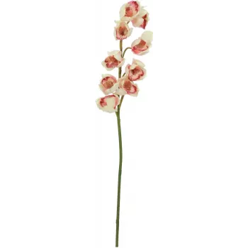 EUROPALMS umelá vetva cymbidium, krémovo-ružová, 90 cm 82530311