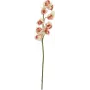 EUROPALMS umelá vetva cymbidium, krémovo-ružová, 90 cm 82530311