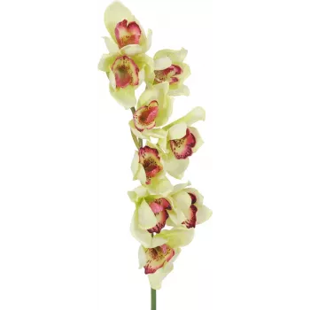 EUROPALMS umelá vetva orchidey cymbidium, zelená, 90 cm 82530313