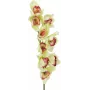 EUROPALMS umelá vetva orchidey cymbidium, zelená, 90 cm 82530313