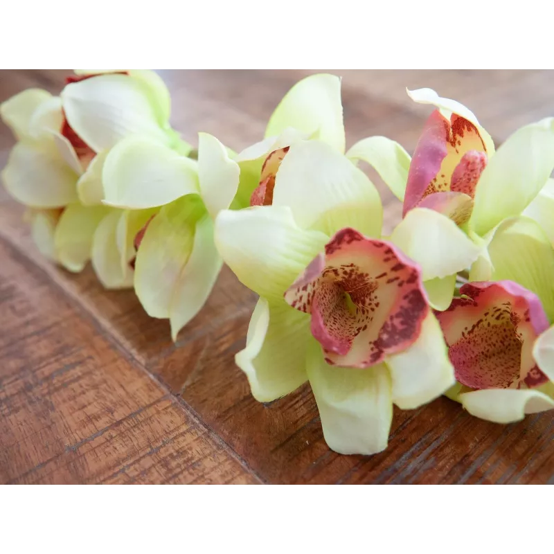 EUROPALMS umelá vetva orchidey cymbidium, zelená, 90 cm 82530313