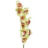 EUROPALMS umelá vetva orchidey cymbidium, zelená, 90 cm 82530313