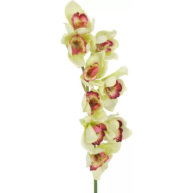 EUROPALMS umelá vetva orchidey cymbidium, zelená, 90 cm 82530313