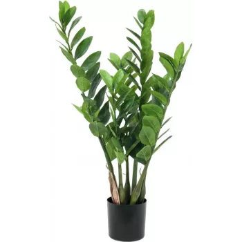 EUROPALMS Zamifolia umelá rastlina ZZ, 70 cm, čierny kvetináč 82600153