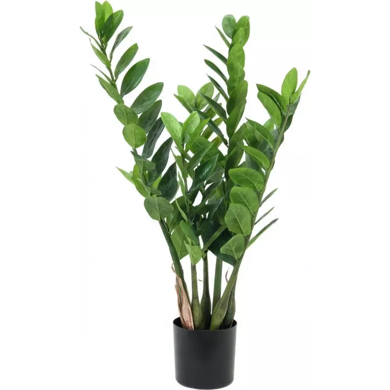 EUROPALMS Zamifolia umelá rastlina ZZ, 70 cm, čierny kvetináč 82600153