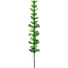 EUROPALMS Crystal eukalyptus umelá rastlina, zelená, 81 cm, 12 stoniek 82600200