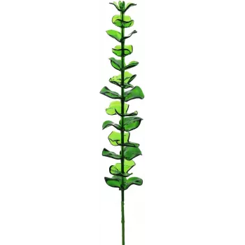 EUROPALMS Crystal eukalyptus umelá rastlina, zelená, 81 cm, 12 stoniek 82600200