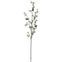 EUROPALMS umelá vetva smrekovca, PE, 100 cm 83500418