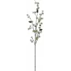 EUROPALMS umelá vetva smrekovca, PE, 100 cm 83500418