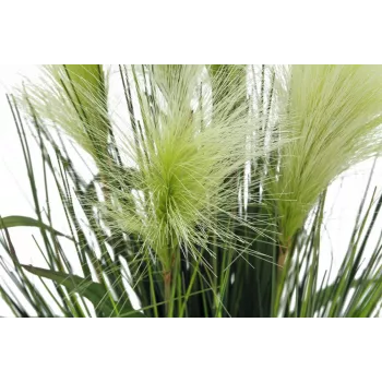 EUROPALMS umelá rastlina perovec, biela, 60 cm 82505864
