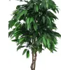 EUROPALMS umelý mangový džungľový strom, 180 cm 82506726