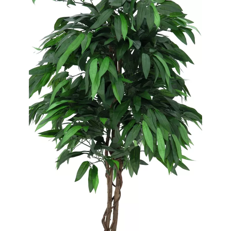 EUROPALMS umelý mangový džungľový strom, 180 cm 82506726