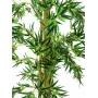 EUROPALMS umelá viacstonková bambusová rastlina, 150 cm 82509235