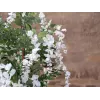 EUROPALMS umelý strom zlatého dažďa, biele kvety, 180 cm 82507106