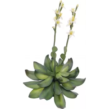 EUROPALMS Stone Rose (EVA) umelá rastlina, žltá, 32 cm 82530573