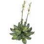 EUROPALMS Stone Rose (EVA) umelá rastlina, žltá, 32 cm 82530573