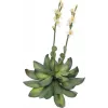 EUROPALMS Stone Rose (EVA) umelá rastlina, žltá, 32 cm 82530573