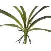 EUROPALMS umelý list orchidey (EVA), zelený, 45 cm 82530574