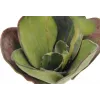 EUROPALMS umelý lekno (EVA), zatvorené, zelené, 45 cm 82530575