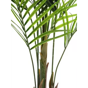 EUROPALMS veľkolistá umelá rastlina areka, 165 cm 82509441