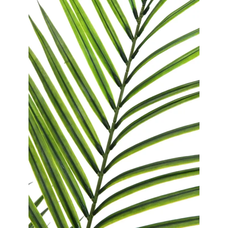 EUROPALMS veľkolistá umelá rastlina areka, 165 cm 82509441
