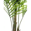 EUROPALMS veľkolistá umelá rastlina areka, 165 cm 82509441