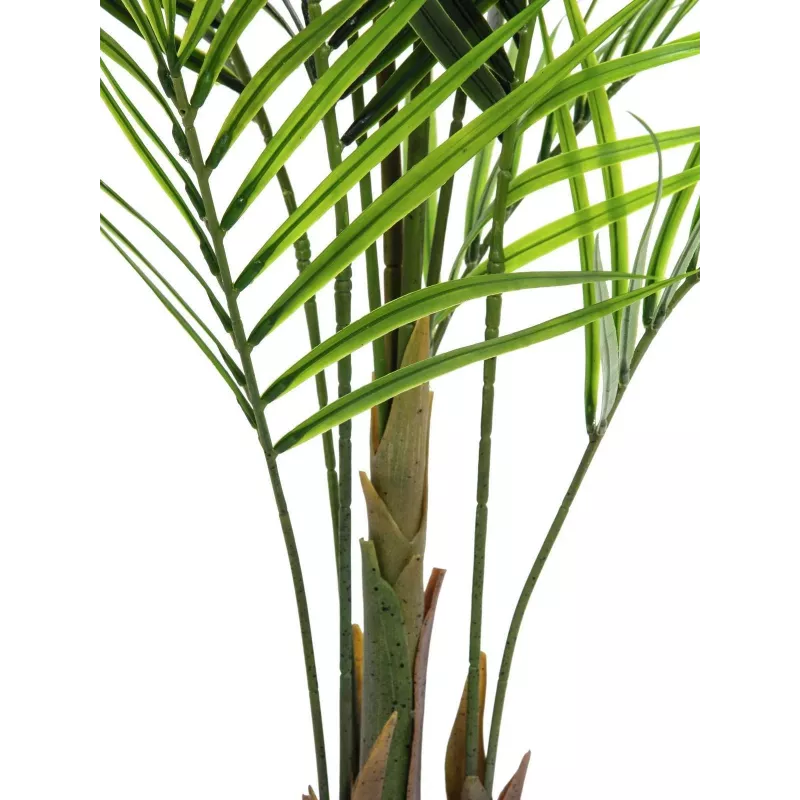 EUROPALMS veľkolistá umelá rastlina areka, 165 cm 82509441