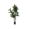 EUROPALMS umelá rastlina gumovník, 120 cm 82600150