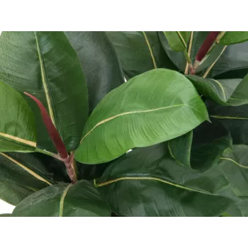 EUROPALMS umelá rastlina gumovník, 120 cm 82600150