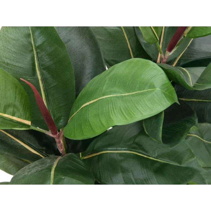 EUROPALMS umelá rastlina gumovník, 120 cm 82600150