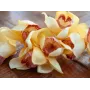EUROPALMS umelá vetva cymbidium, žltá, 90 cm 82530314
