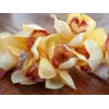 EUROPALMS umelá vetva cymbidium, žltá, 90 cm 82530314
