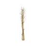 EUROPALMS sušený feniklový zväzok, zlatý, 160 cm 83502363
