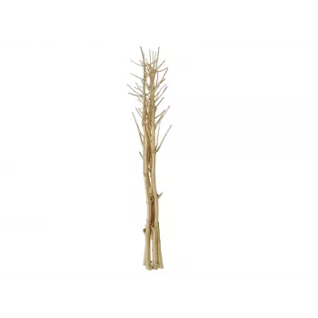 EUROPALMS sušený feniklový zväzok, zlatý, 160 cm 83502363