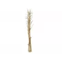 EUROPALMS sušený feniklový zväzok, zlatý, 160 cm 83502363