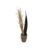 EUROPALMS sušený feniklový zväzok, zlatý, 160 cm 83502363
