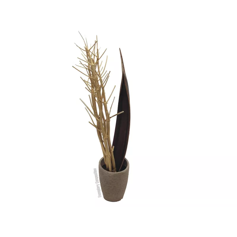 EUROPALMS sušený feniklový zväzok, zlatý, 160 cm 83502363