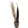 EUROPALMS sušený feniklový zväzok, zlatý, 160 cm 83502363