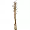EUROPALMS sušený feniklový zväzok, zlatý, 160 cm 83502363