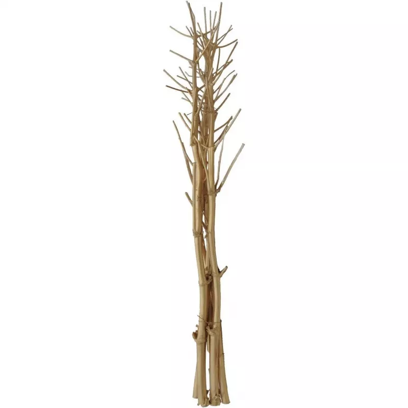 EUROPALMS sušený feniklový zväzok, zlatý, 160 cm 83502363